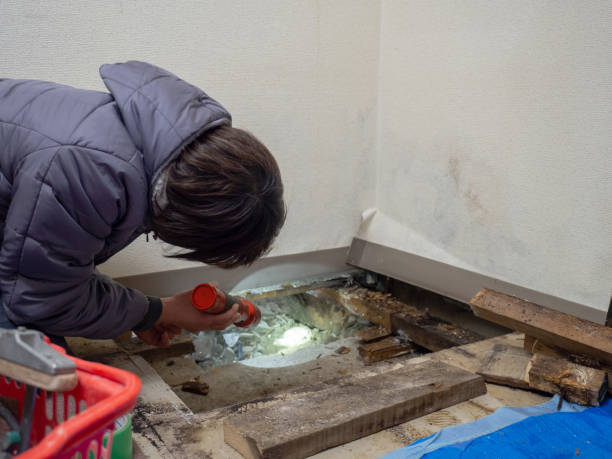 Best HVAC Mold Inspection and Cleaning  in Lost Hills, CA