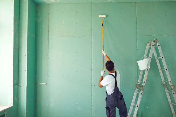 Lost Hills, CA Mold Removal Company