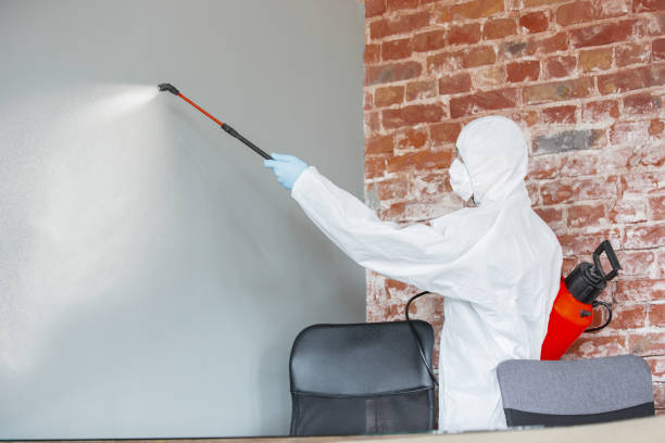 Best Airborne Mold Testing  in Lost Hills, CA