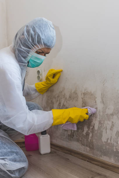 Forensic Mold Investigation in Lost Hills, CA