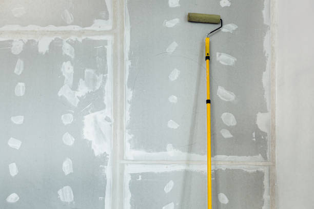  Lost Hills, CA Mold Removal Pros