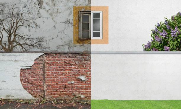 Best Comprehensive Air Testing for Mold Contaminants  in Lost Hills, CA